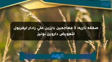 صفقة نارية: 3 مهاجمين بارزين على رادار ليفربول لتعويض داروين نونيز